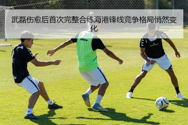 武磊伤愈后首次完整合练海港锋线竞争格局悄然变化